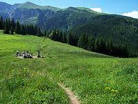 Miętusia Polana