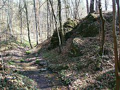 Rezerwat przyrody Dolina Potoku Rudno