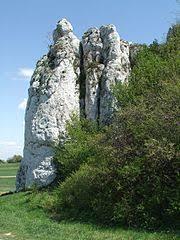 Kapucyn
