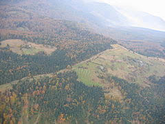 Potrójna