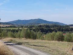 Jawornica