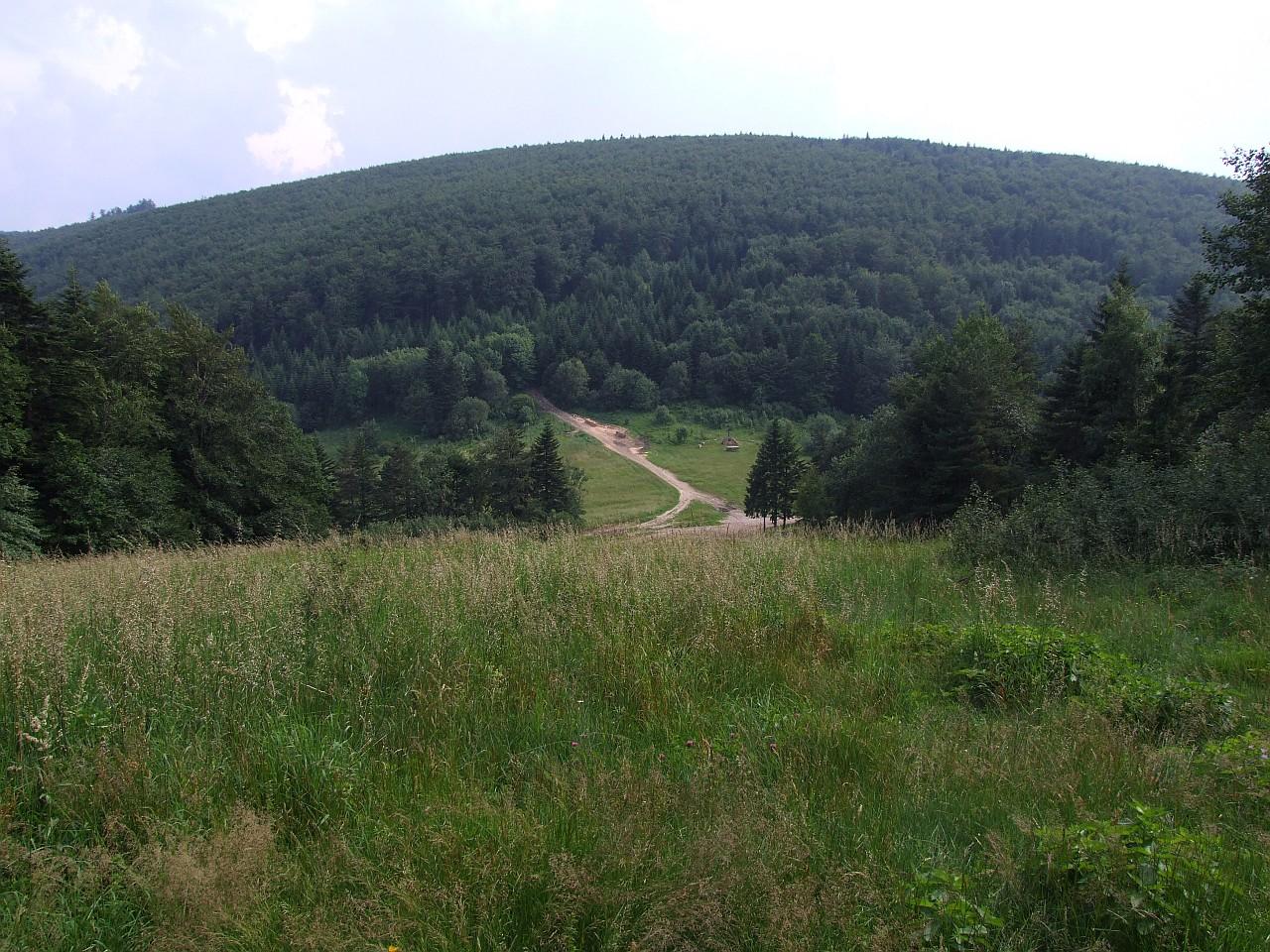 Łysina