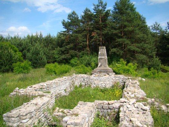 Grodzisko Stary Olkusz
