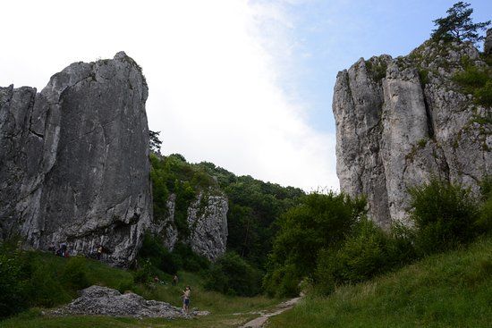 Dolina Bolechowicka