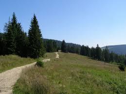 Wisielakówka