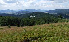 Kiczora Kamienicka