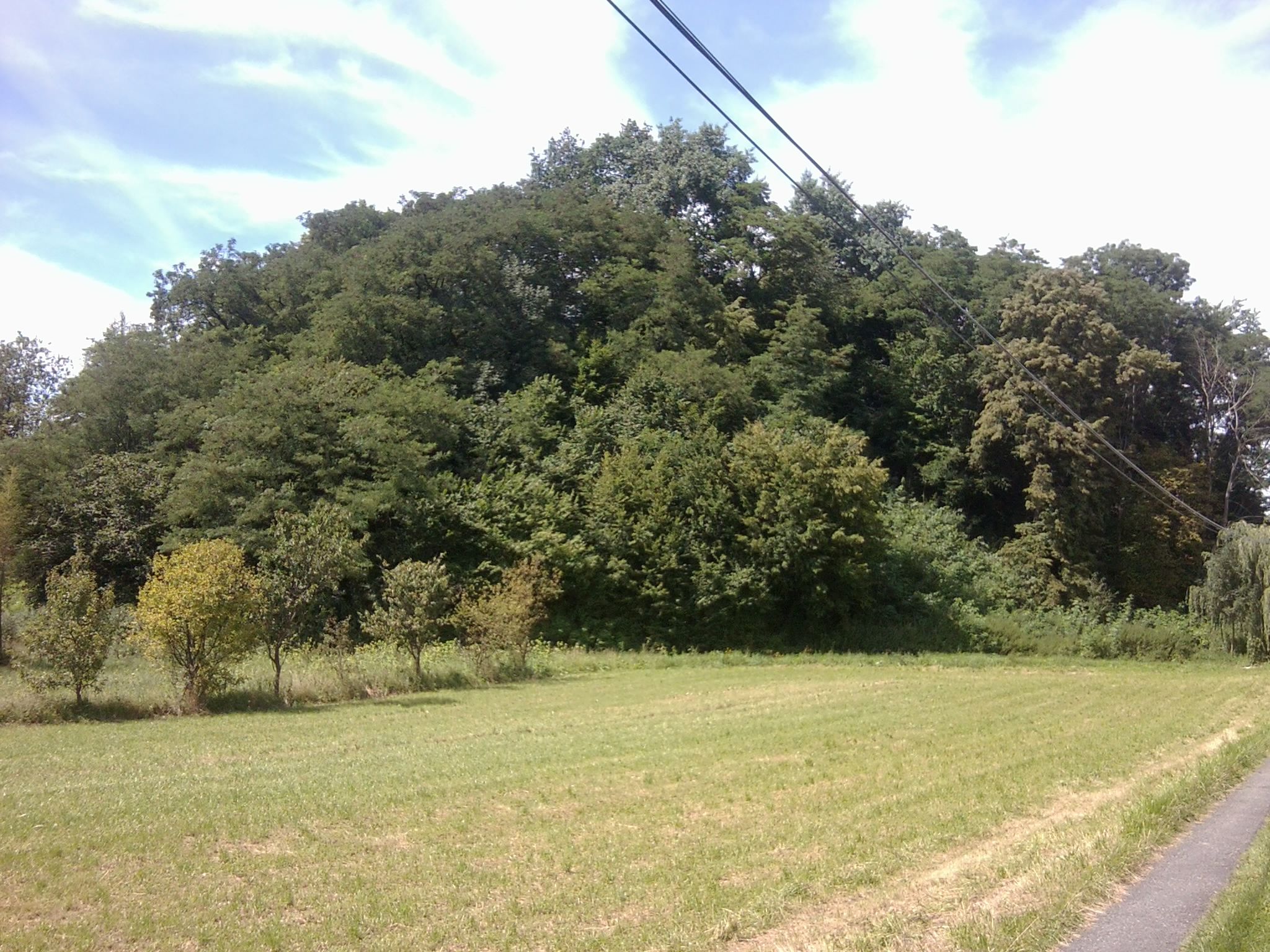 Zamczysko