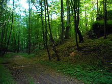 Zbrza
